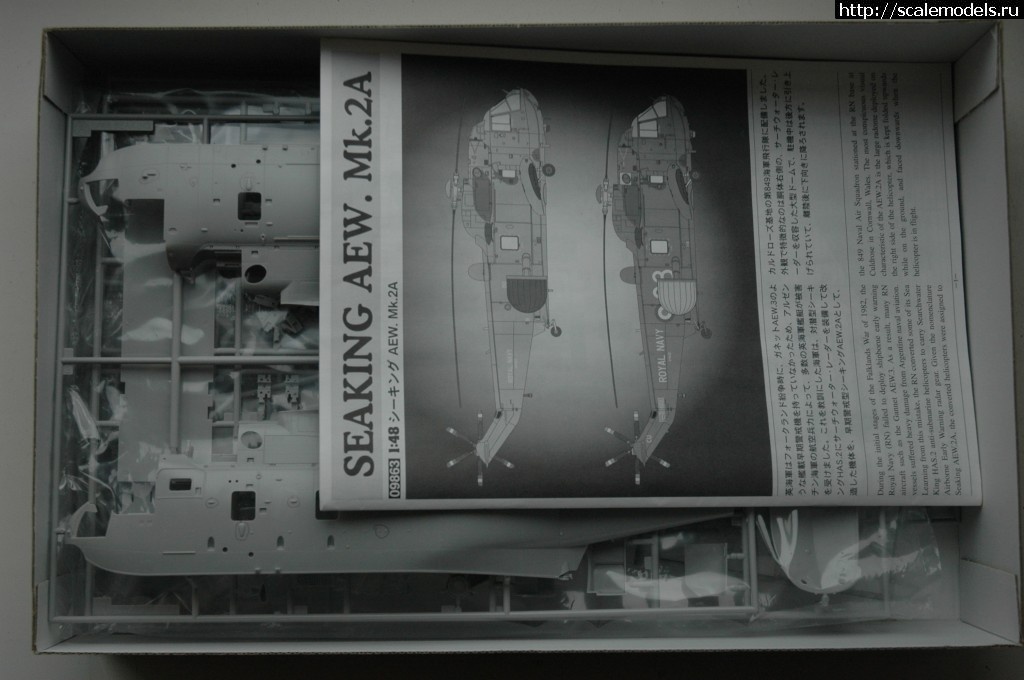 Seaking AEW Mk.2A 1/48 Hasegawa  