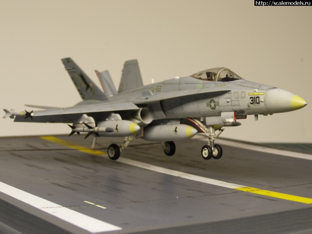   ? F-18 Hasegawa 1/72  