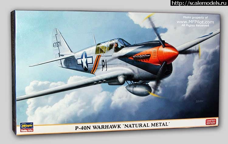 #1246173/ Curtiss P-40B  Bronco  1/48(#10025) -   