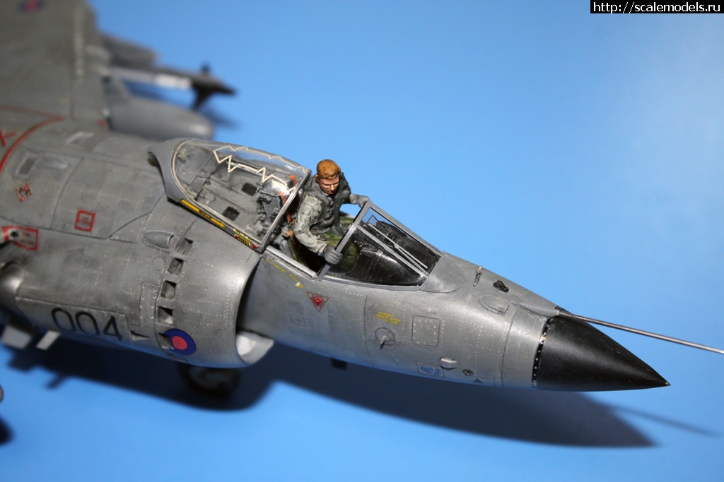 #1250739/ 1/48 Sea Harrier FRS.1 -    - !  