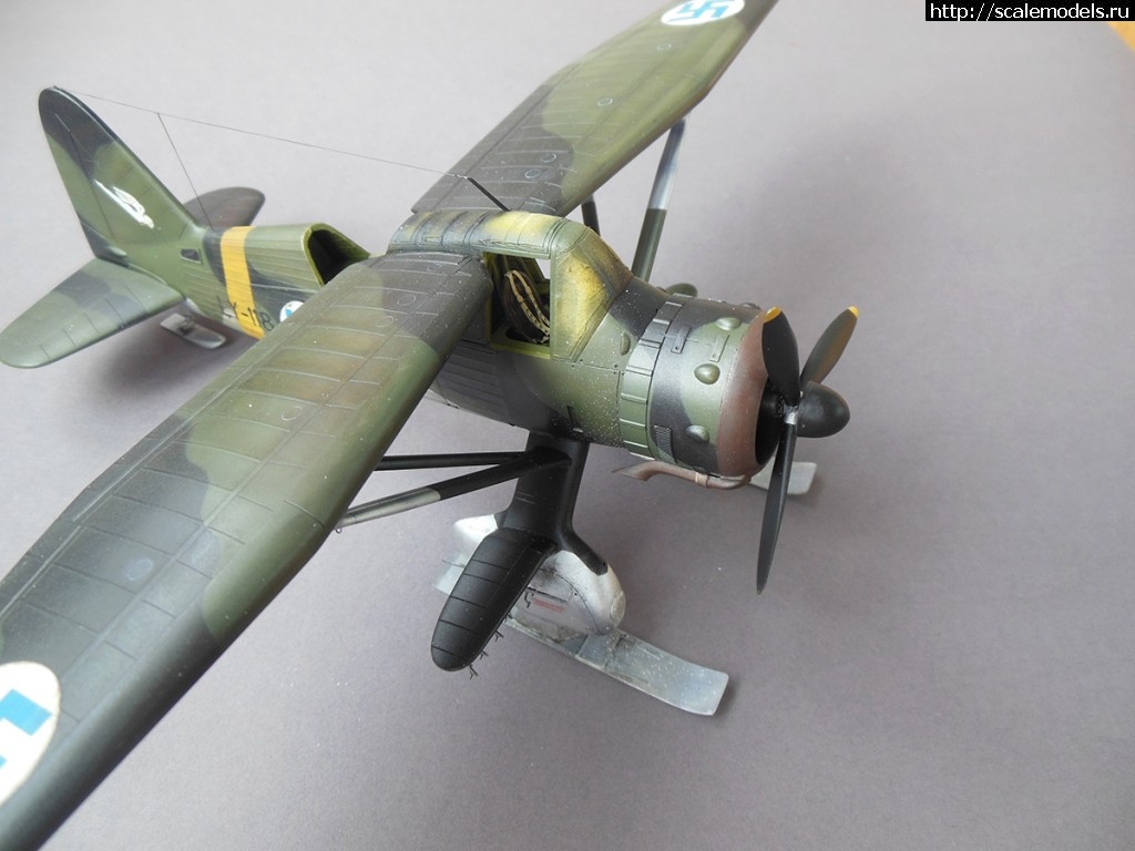 #1276229/  Lysander Eduard 1/48   