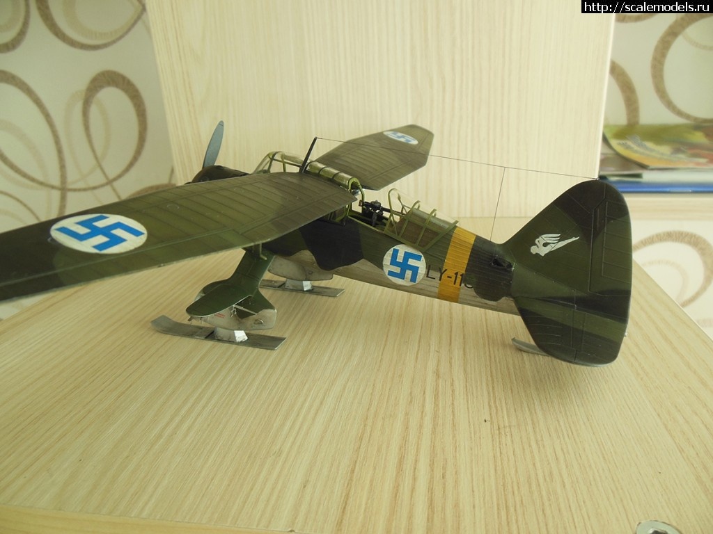 #1276929/  Lysander Eduard 1/48   