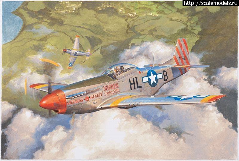 Mustang P-51D Meng 1/48  