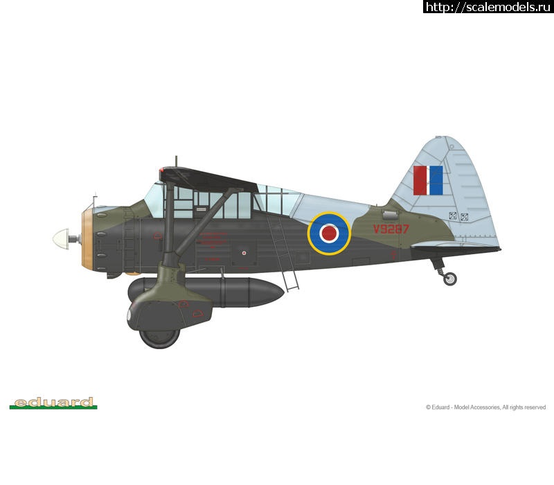 #1298304/  1:48 Westland Lysander Mk.III  Gavia - Eduard  