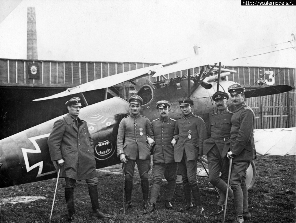 Albatros D.V Rumey - Eduard - 1/48 - !  