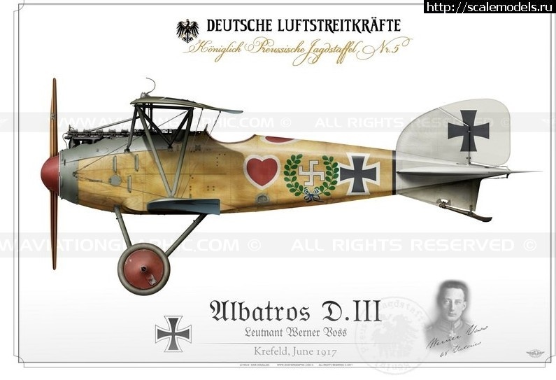 1/32 Albatros D.III Roden+WnW-!  