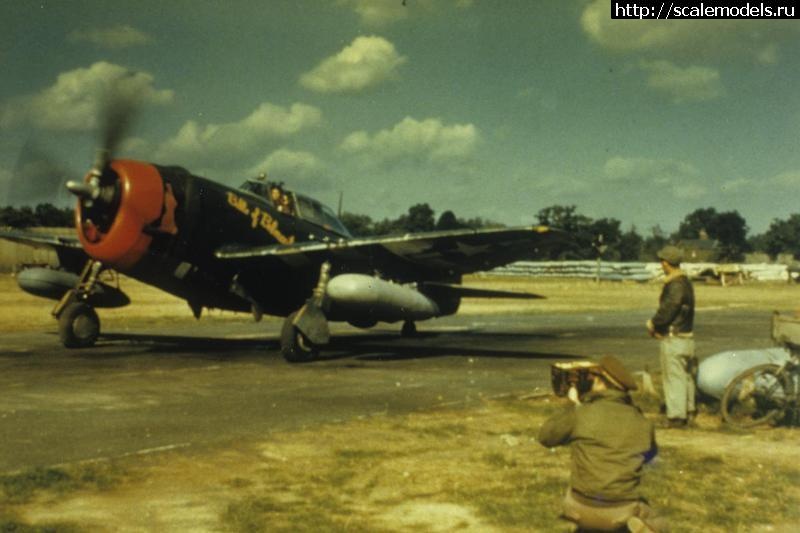 Tamiya 1/48 Republic P-47D Thunderbolt/ Tamiya 1/48 Republic P-47D Thunderbolt(#10516) -   
