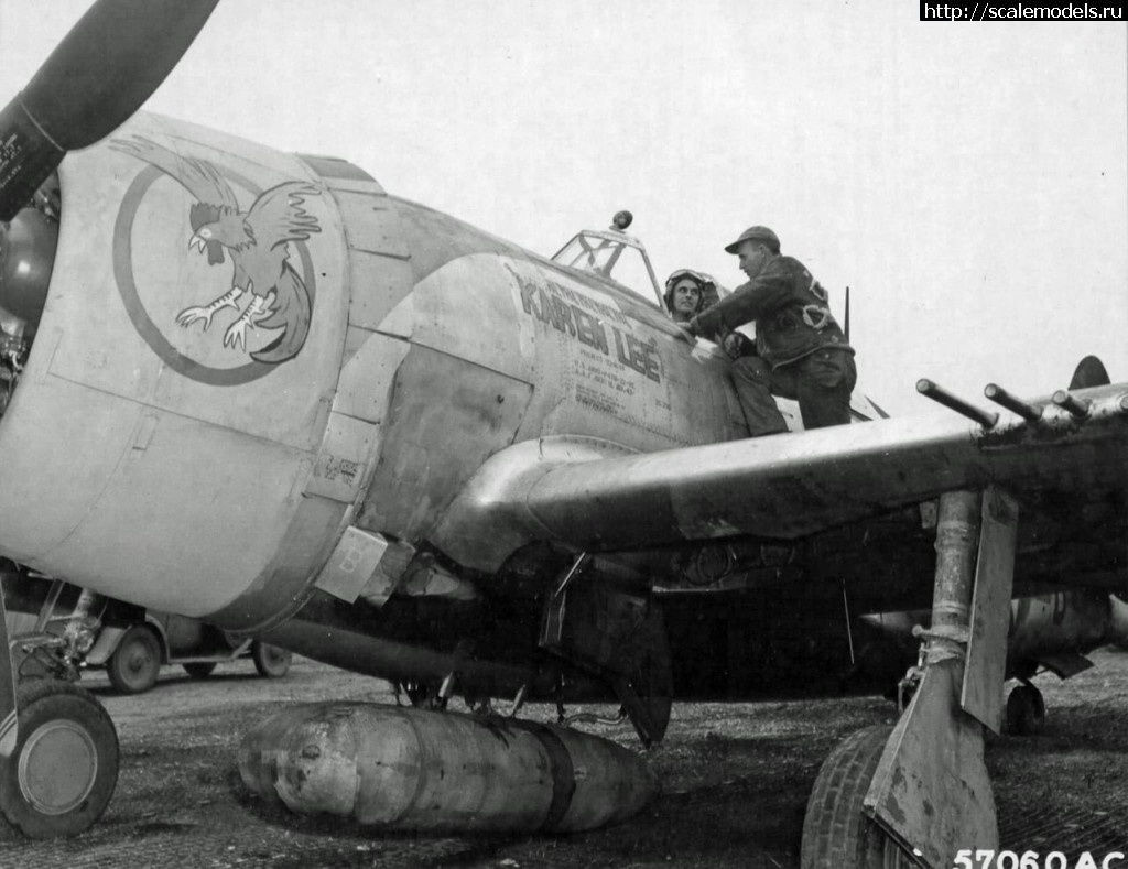 #1319606/ Tamiya 1/48 Republic P-47D Thunderbolt(#10516) -   