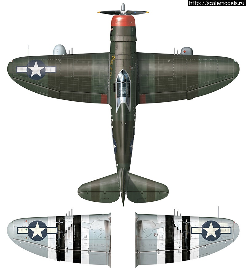 #1319638/ Tamiya 1/48 Republic P-47D Thunderbolt(#10516) -   