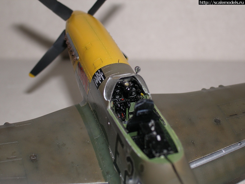  "USAAF WWII" -  1/48  