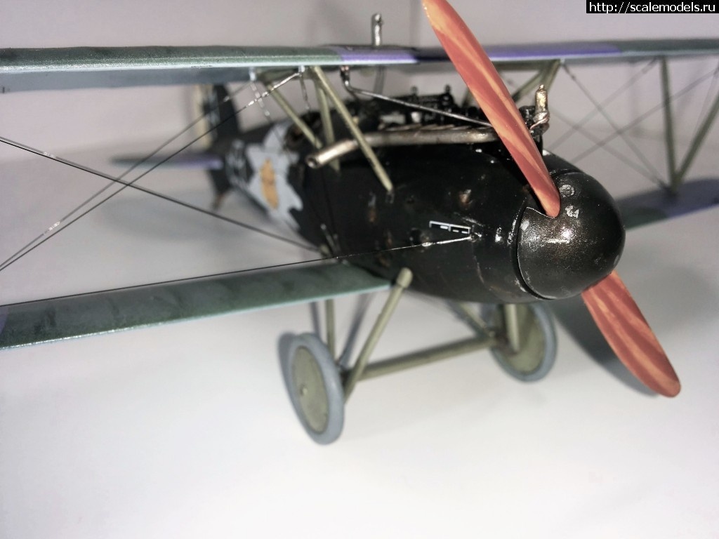 #1345829/ Albatros D.V, Otto Kissenberth - Revell - 1/48 -   