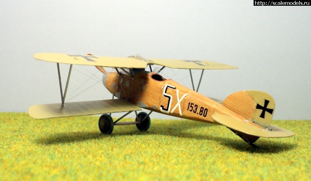    Albatros!   1/72  