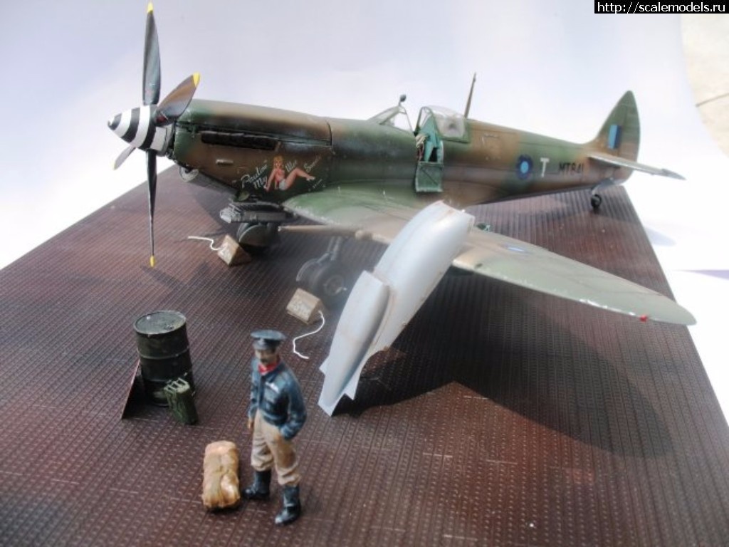 #1423973/ Spitfire Mk. VIII "Pauline" Eduard 1/48  