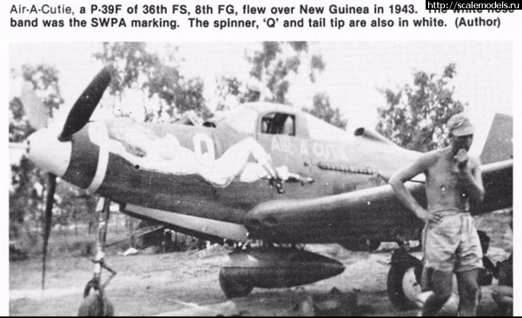 EDUARD P-400 "Air A Cutie" (harpoonn/Bertych)  