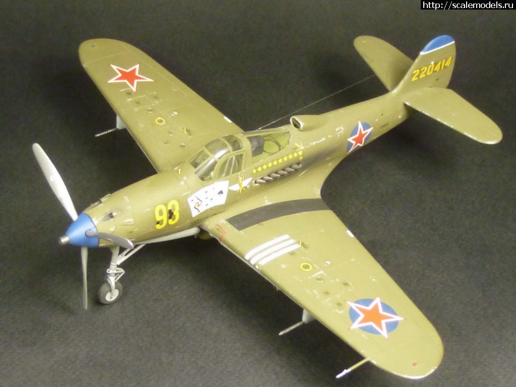 #1427760/ EDUARD P-400 "Air A Cutie" (harpoonn/Bertych)  