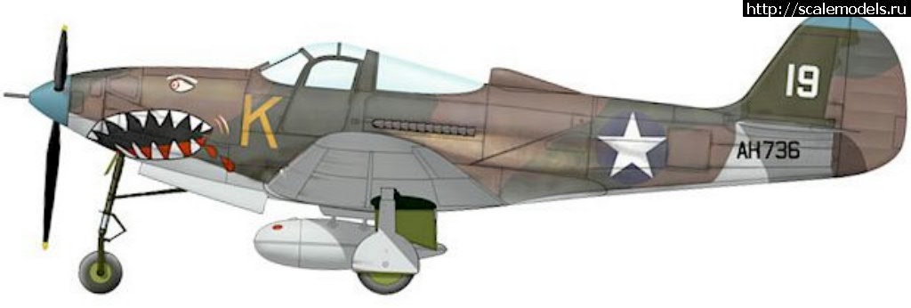 #1433255/ EDUARD P-400 "Air A Cutie" (harpoonn/Bertych)  