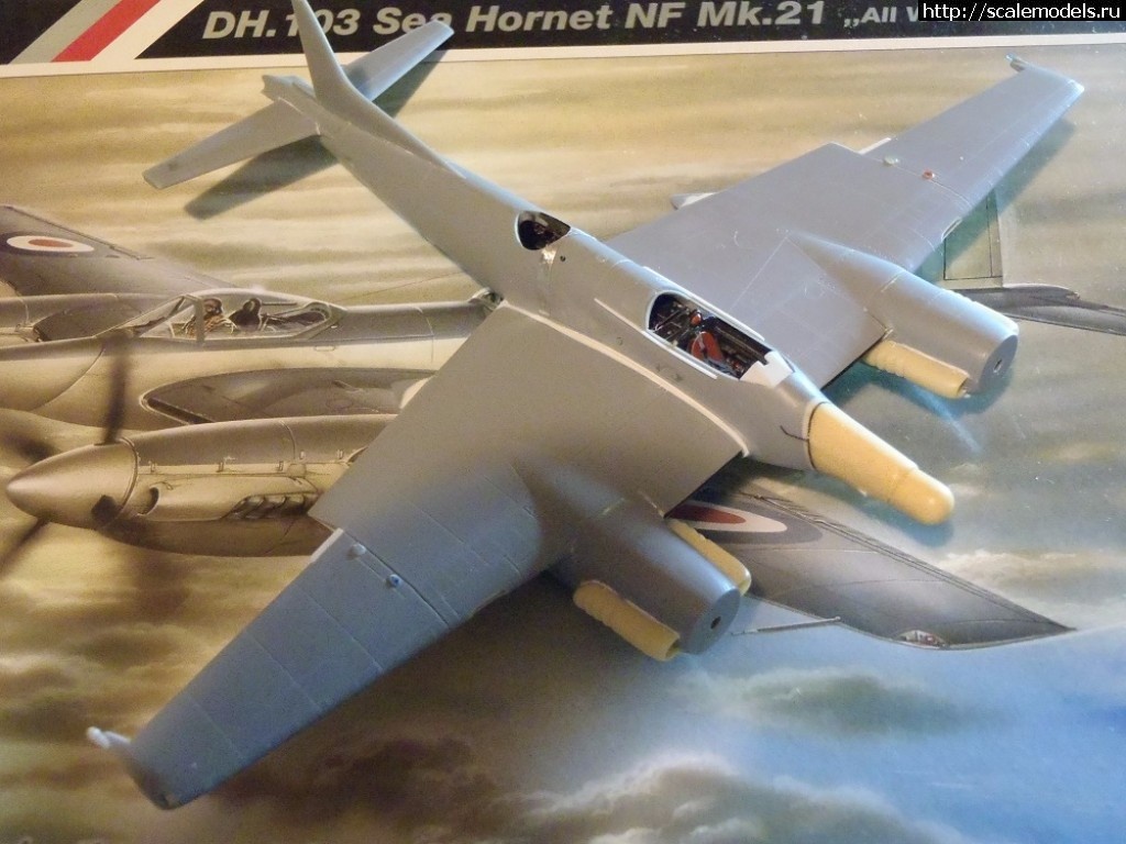 #1434386/ DH-103  Sea Hornet NF Mk.21  Special Hobby  1:72.  .  