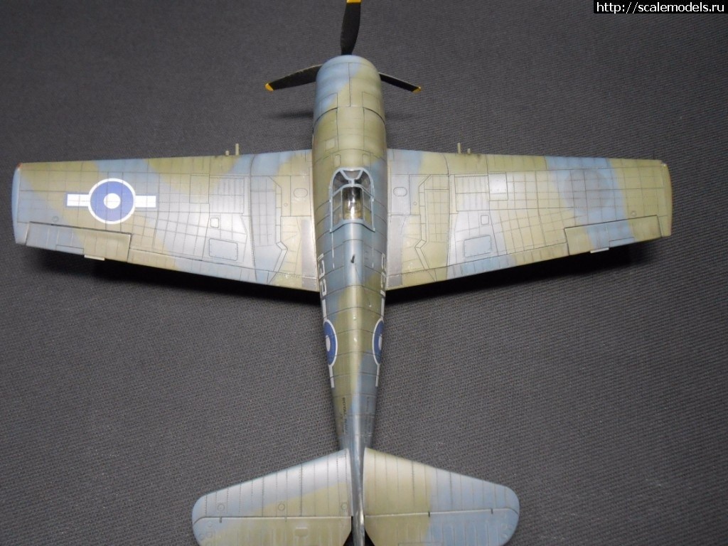     -  WWII 1/48  