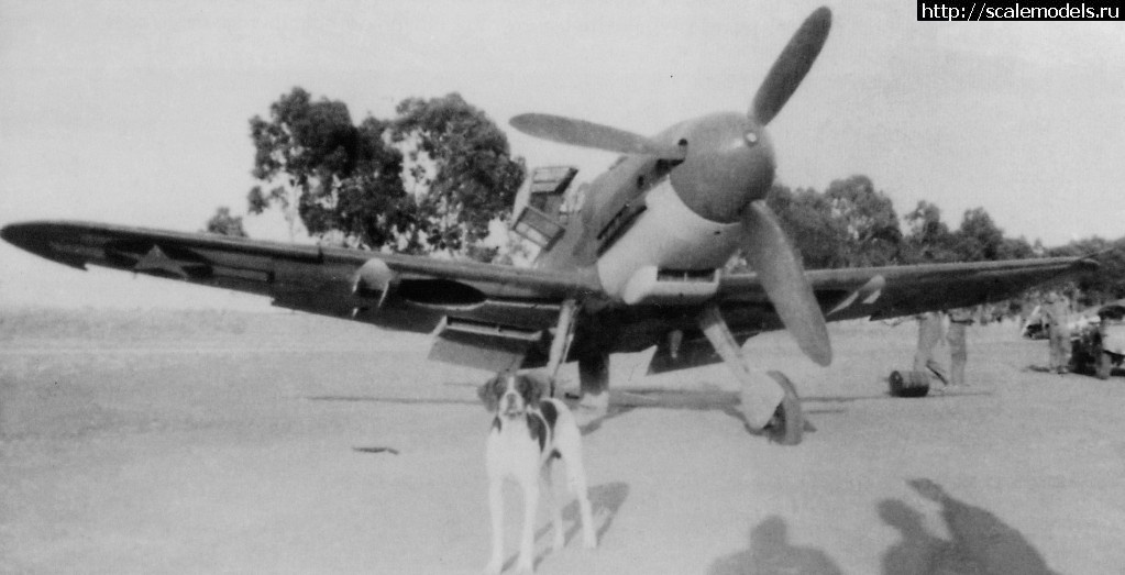 #1467873/ Eduard 1/48 Bf 109G-6 (Late)(#11942) -   