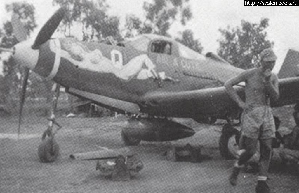#1478191/ EDUARD P-400 "Air A Cutie" (harpoonn/Bertych)  