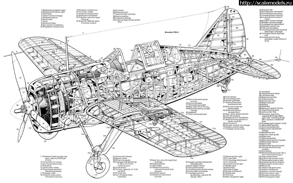 #1478309/ Brewster F2A-2 Buffalo (Tamiya, 1:48) -   