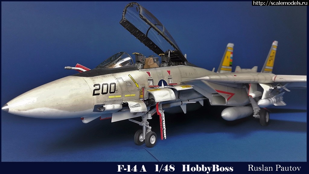 #1483562/ F-14  1/48 Hobby Boss "!!!"  