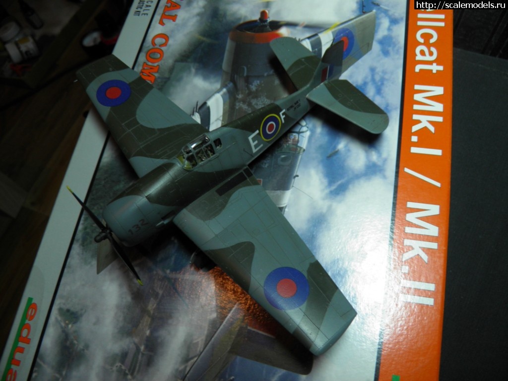 F6F-5  1/72 Eduard -   