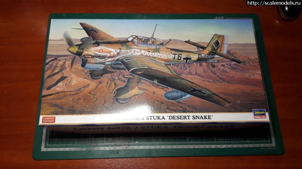 1/48 Hasegawa Ju87 R2 "Desert Snake"  