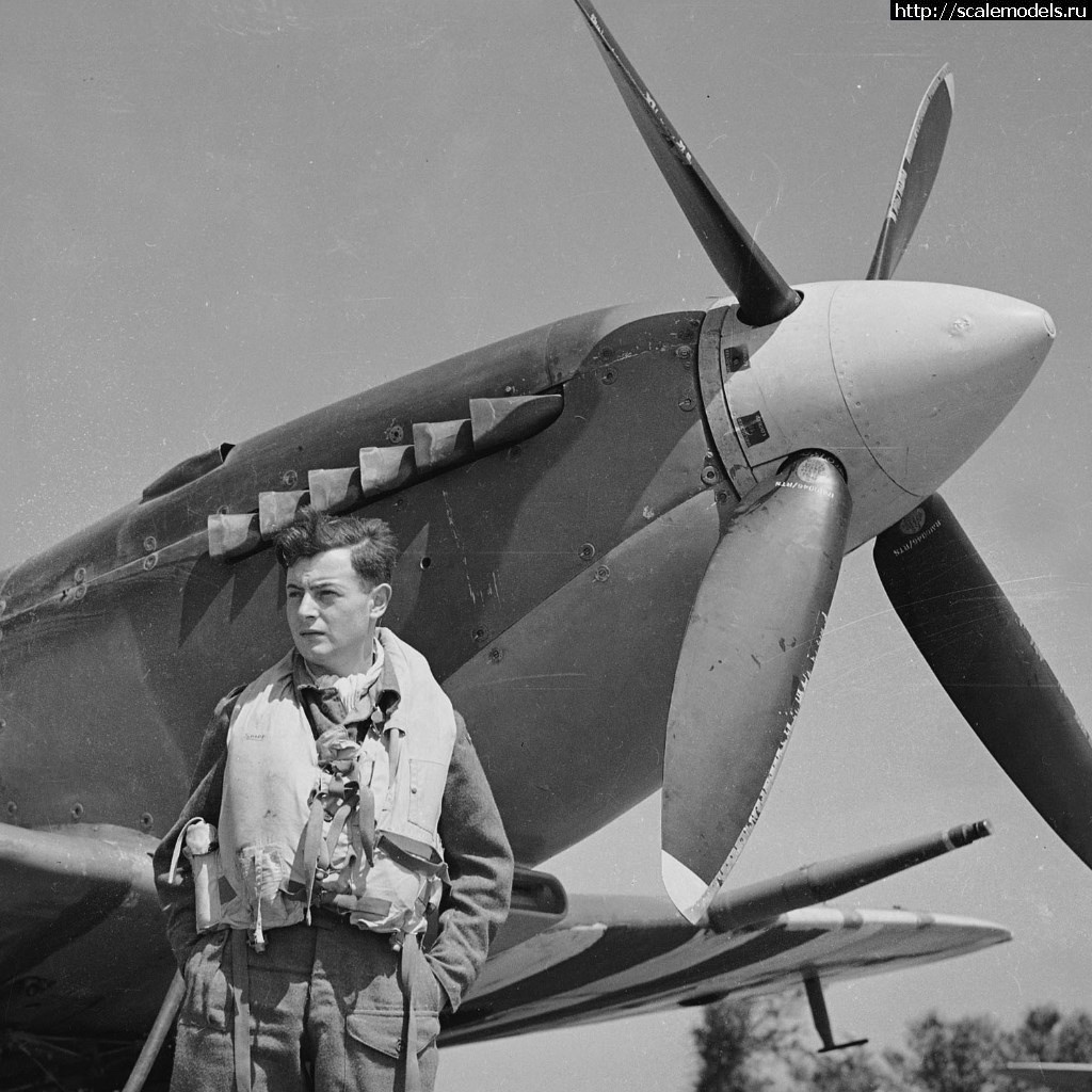 #1536317/ Supermarin Spitfire Mk.IXc   "Eduard", 1:48  