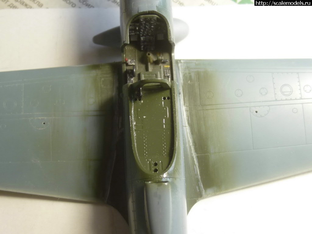 #1539761/ EDUARD P-400 "Air A Cutie" (harpoonn/Bertych)  