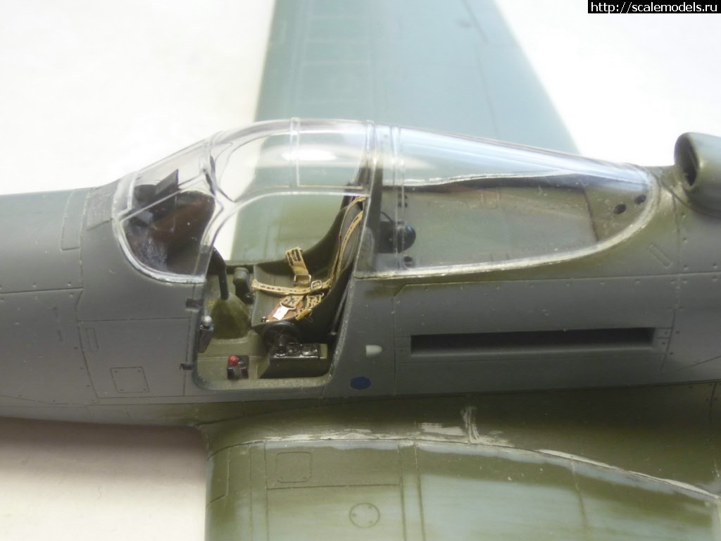 #1539885/ EDUARD P-400 "Air A Cutie" (harpoonn/Bertych)  