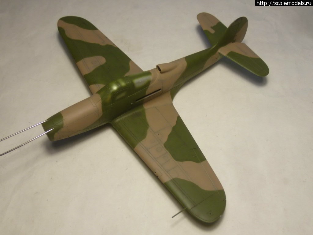 #1540706/ EDUARD P-400 "Air A Cutie" (harpoonn/Bertych)  