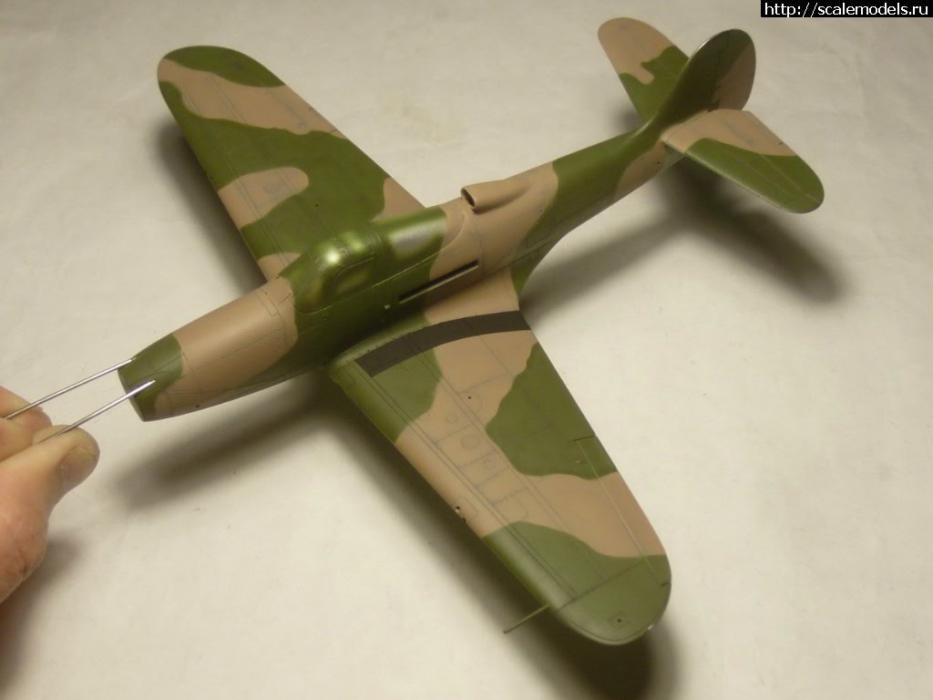 #1540706/ EDUARD P-400 "Air A Cutie" (harpoonn/Bertych)  
