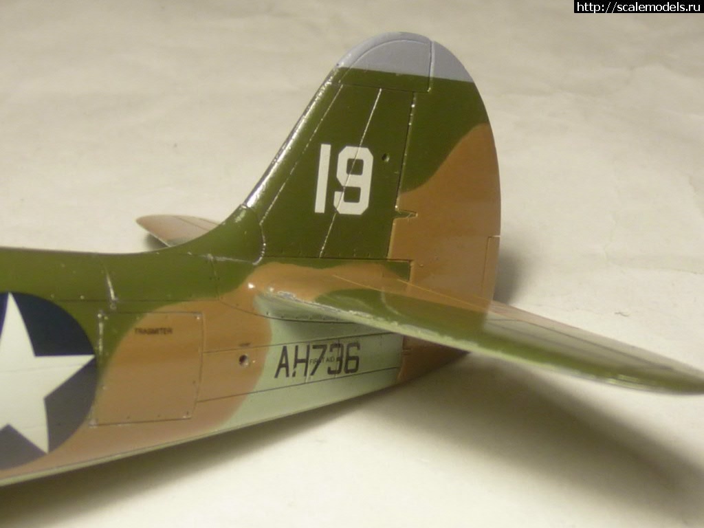 #1541327/ EDUARD P-400 "Air A Cutie" (harpoonn/Bertych)  