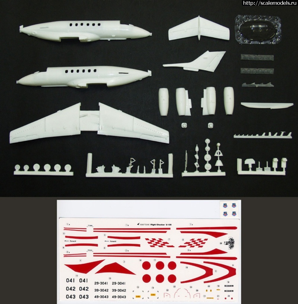 Raytheon-Hawker 800   1/72 ...(#13727) -   