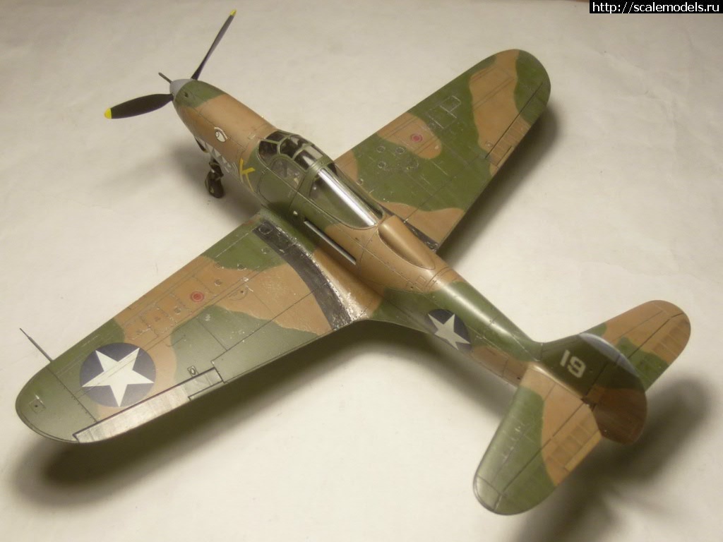 #1543868/ EDUARD P-400 "Air A Cutie" (harpoonn/Bertych)  