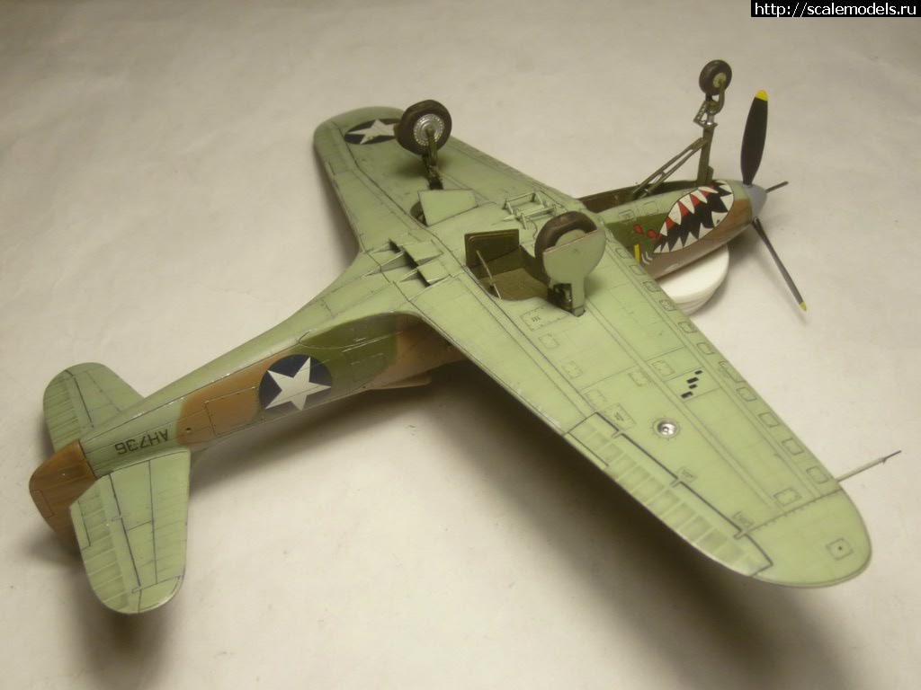 #1543868/ EDUARD P-400 "Air A Cutie" (harpoonn/Bertych)  