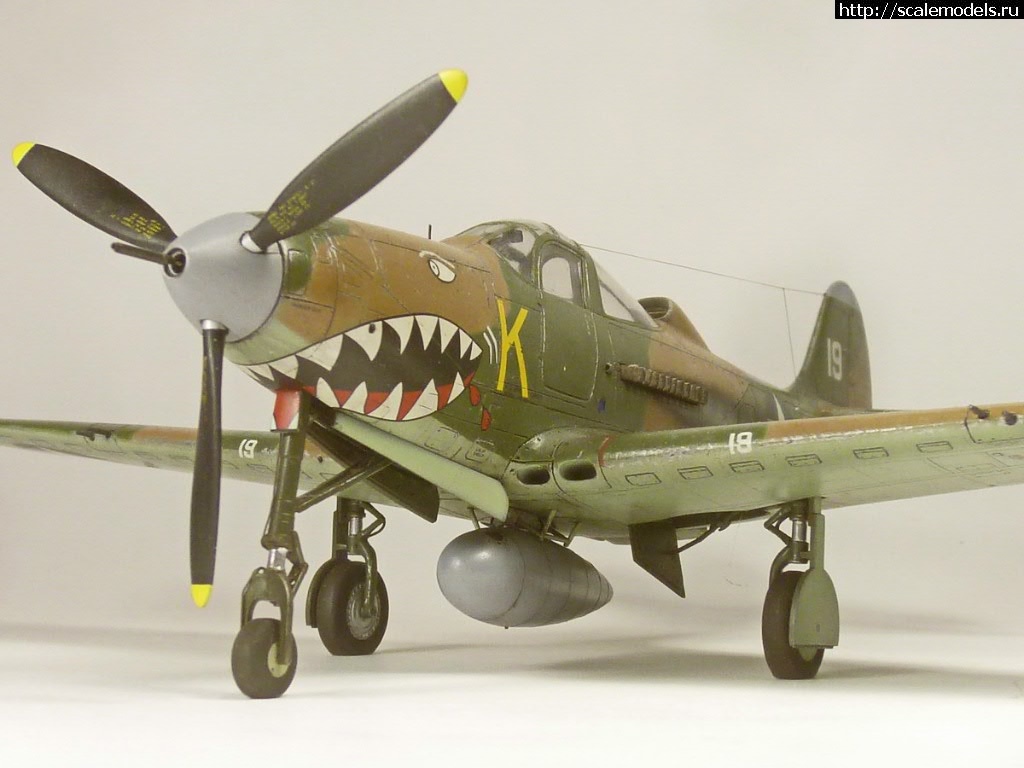 #1549520/ EDUARD P-400 "Air A Cutie" (harpoonn/Bertych)  