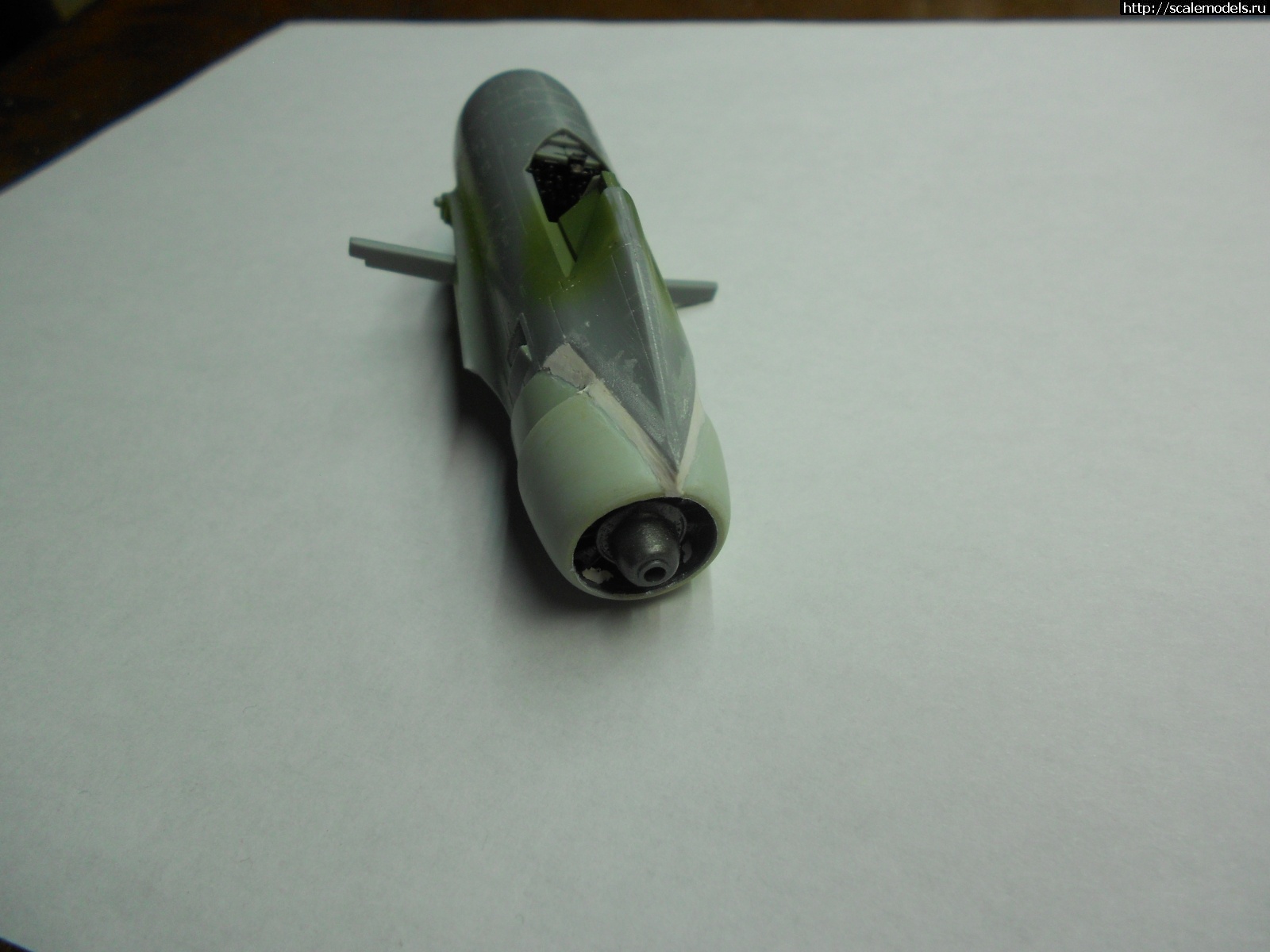 #1623248/ P-47R(P) Reversbolt 1/72    