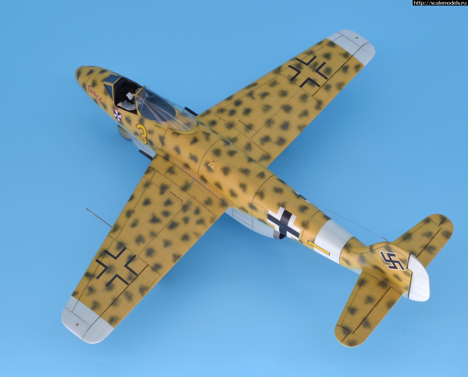 #1633990/ Focke Wulf Fw P.II 1/48 Planet Models. .  