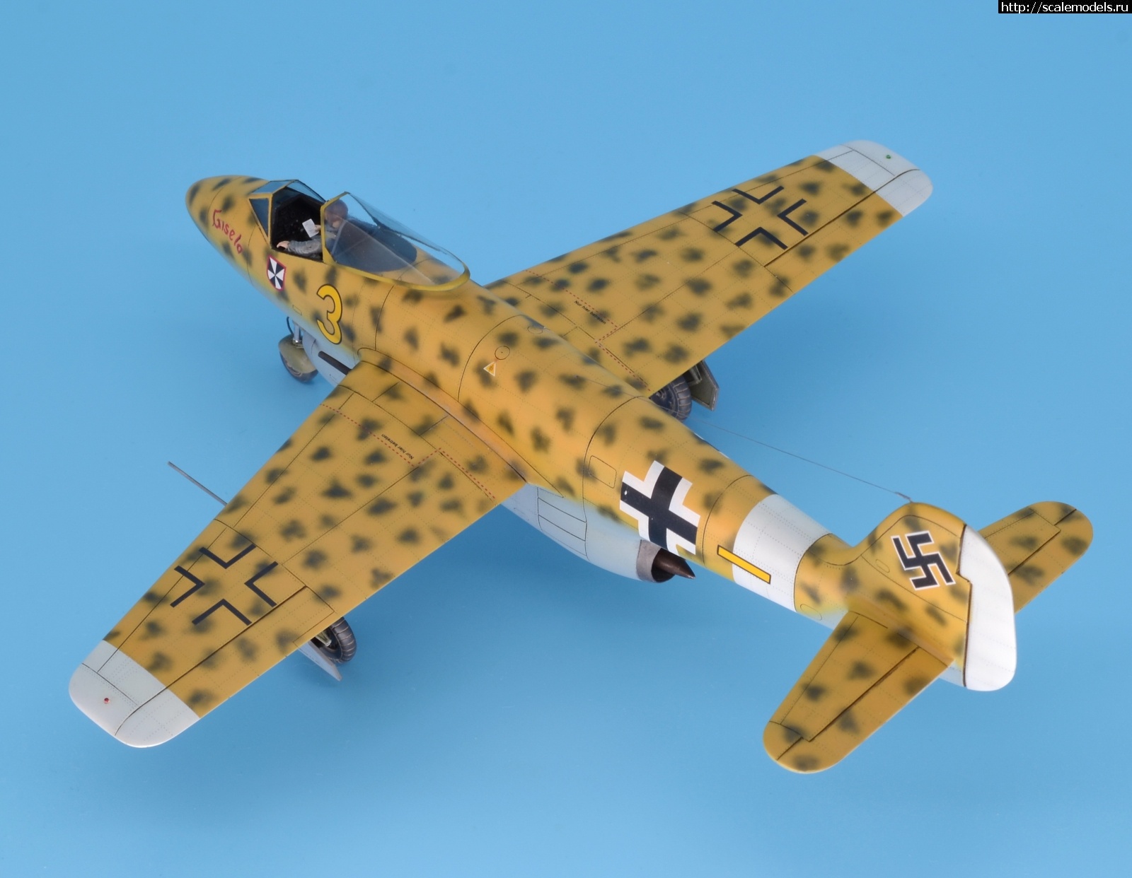 #1633990/ Focke Wulf Fw P.II 1/48 Planet Models. .  