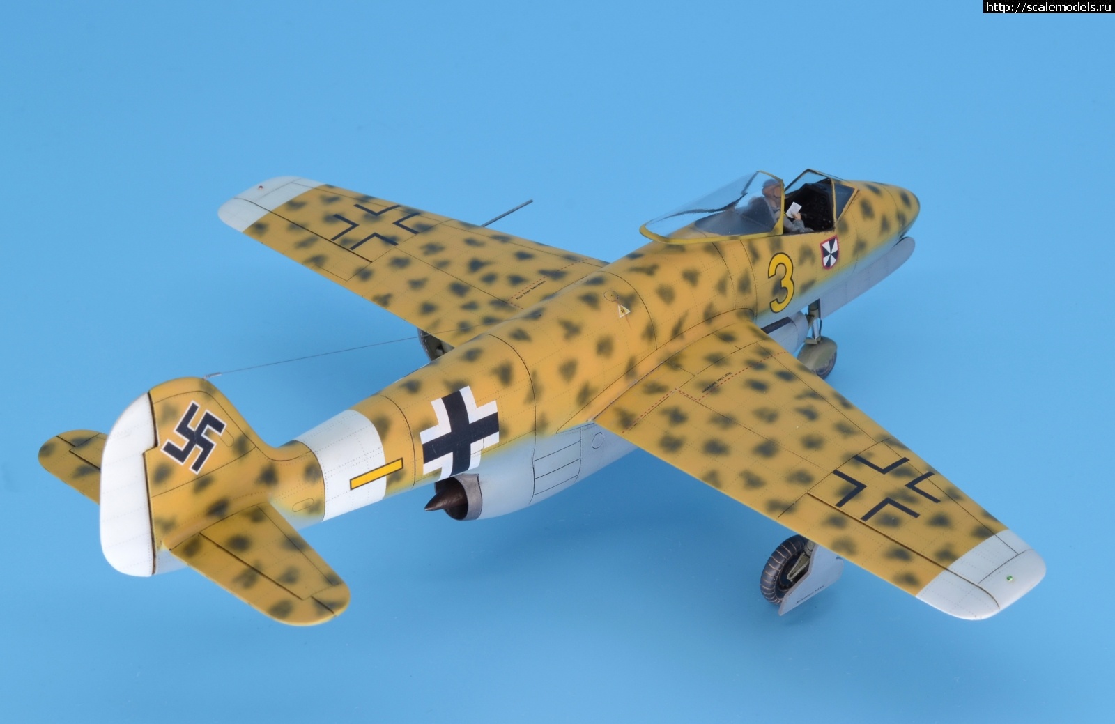 #1633990/ Focke Wulf Fw P.II 1/48 Planet Models. .  