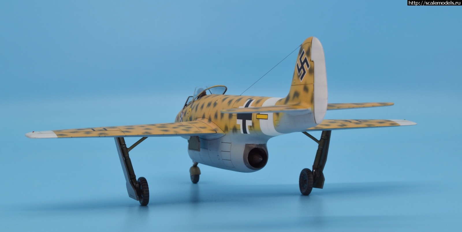 #1633990/ Focke Wulf Fw P.II 1/48 Planet Models. .  