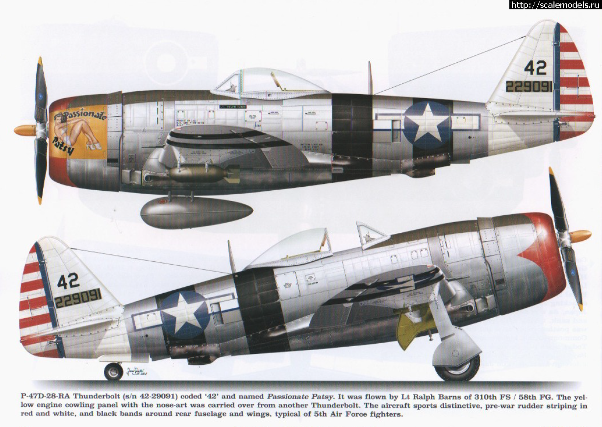 Tamiya 1/48 P-47D.Thunderbolt.   . 2.  