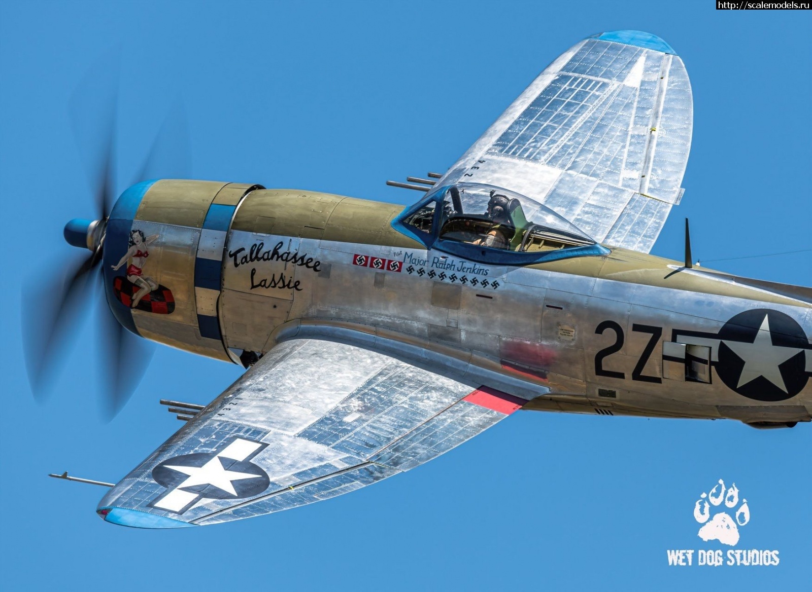 #1641496/ Tamiya 1/48 P-47D.Thunderbolt.   . 2.  