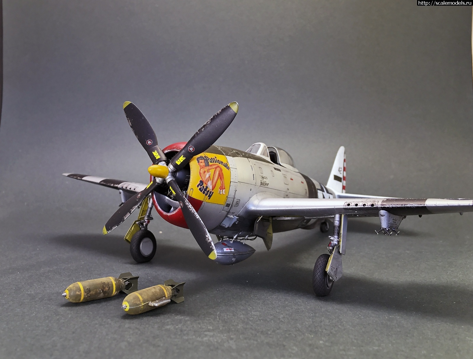 #1652351/ Tamiya 1/48 P-47D.Thunderbolt.   . 2.  