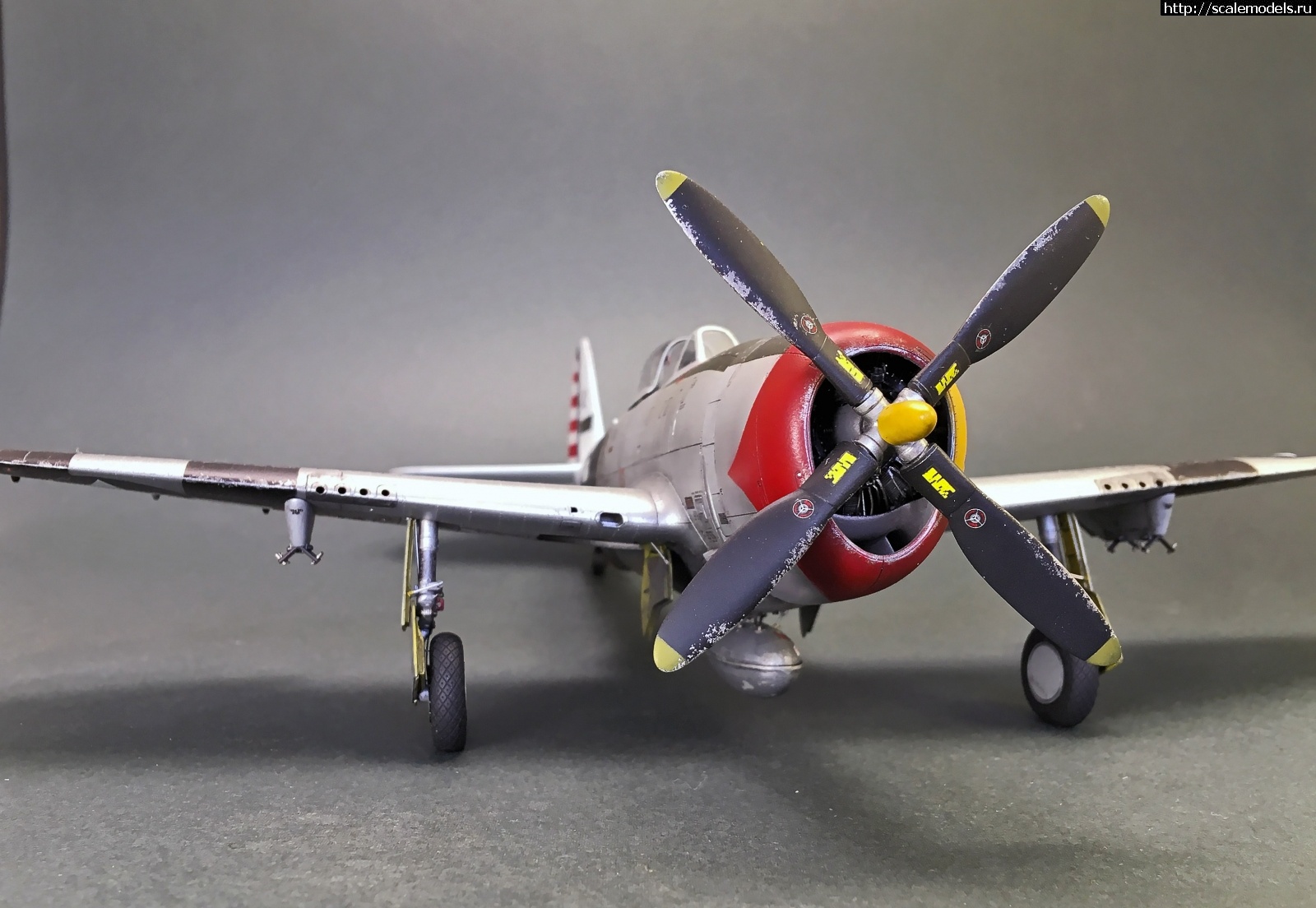 #1652351/ Tamiya 1/48 P-47D.Thunderbolt.   . 2.  