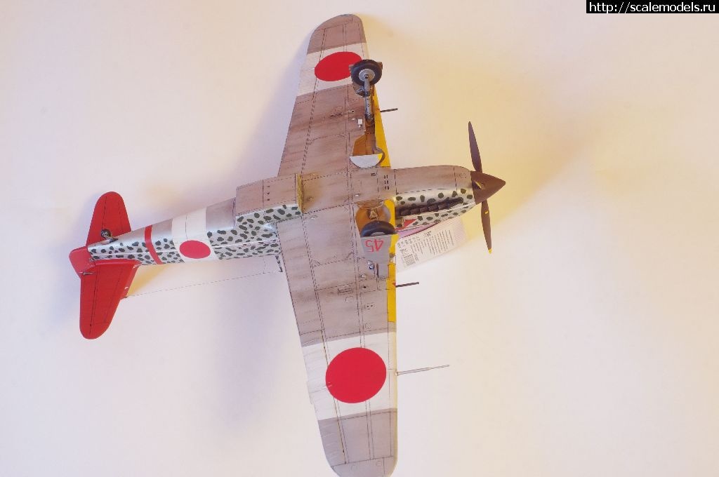 / Kawasaki Ki-61 Hei, 1/32 Hasegawa -   