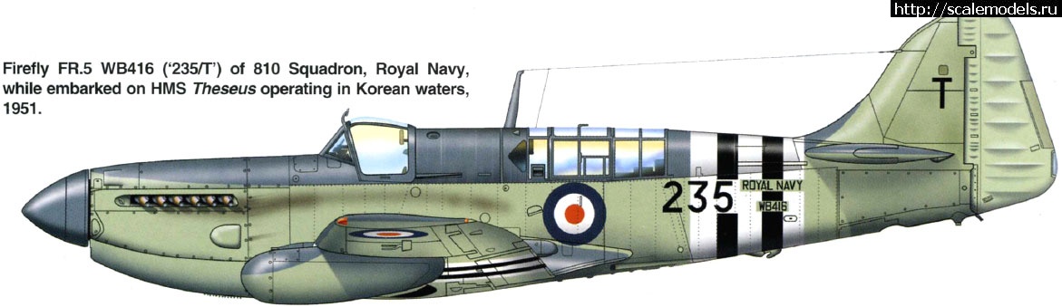 #1674877/ Novo 1/72 Fairey Firefly Mk.I - ...(#14862) -   