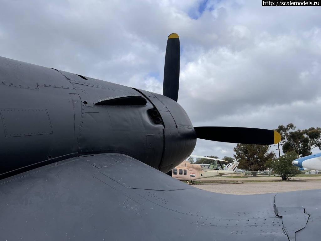  F4U-5N Corsair  